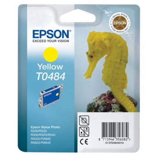 Epson T0484
